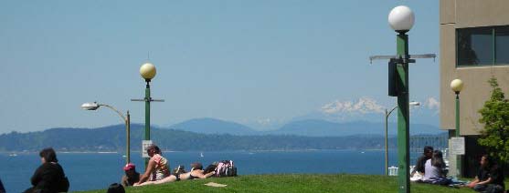 Sunning Near Public Market - cropped.jpg
